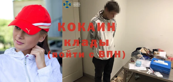 индика Белоозёрский