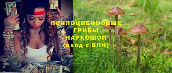 соль курить ск Белокуриха