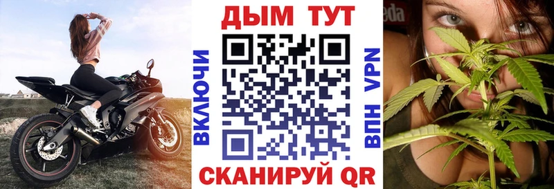 Шишки марихуана конопля  как найти закладки  Челябинск 